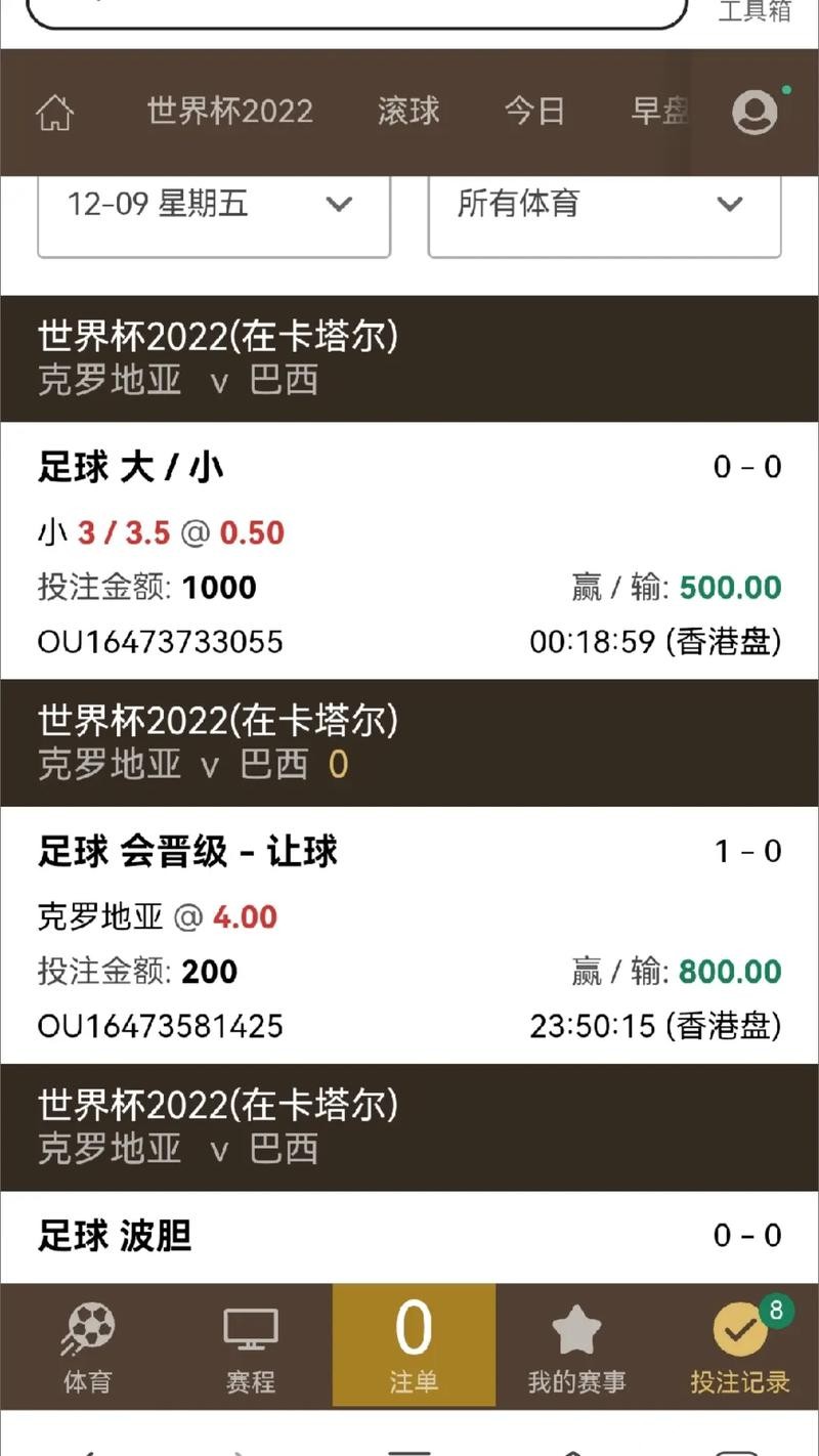 世界杯安全下注平台适合哪些用户