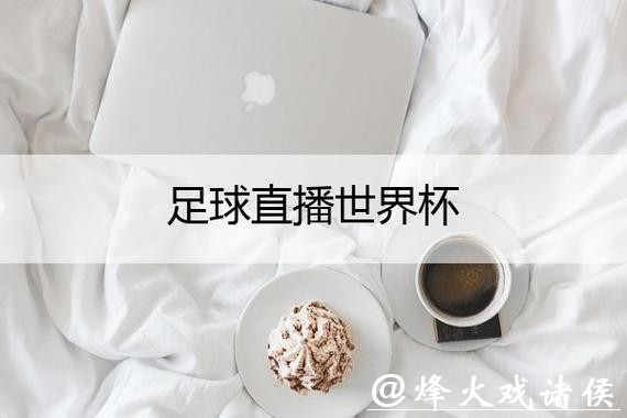 全球适用的世界杯直播平台推荐
